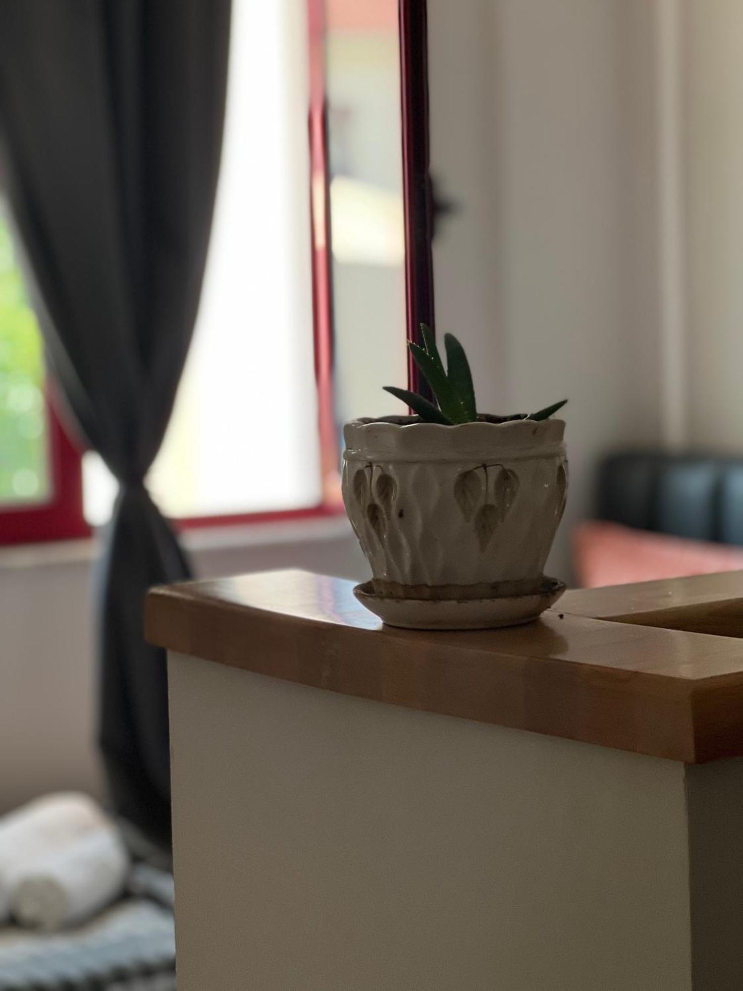 City Centre Rooms 4R شكودر المظهر الخارجي الصورة